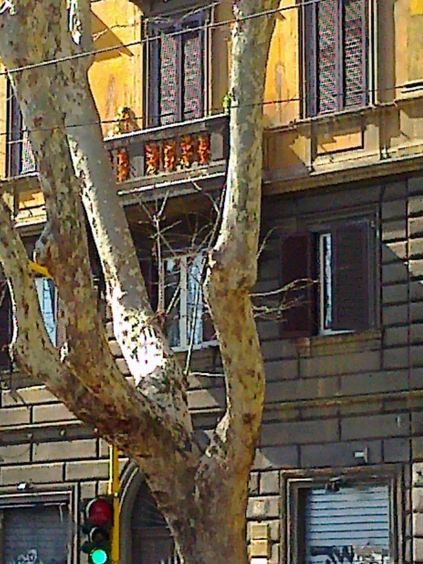 Al 138 Town House Ξενοδοχείο Ρώμη Εξωτερικό φωτογραφία